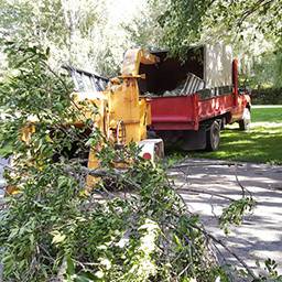 Destructeur de souche - Dessouchage arbre Montreal - Laval